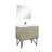 Lancy 36 in W x 20 in D Single Bath Vanity Mirror and Faucet Set-113287836