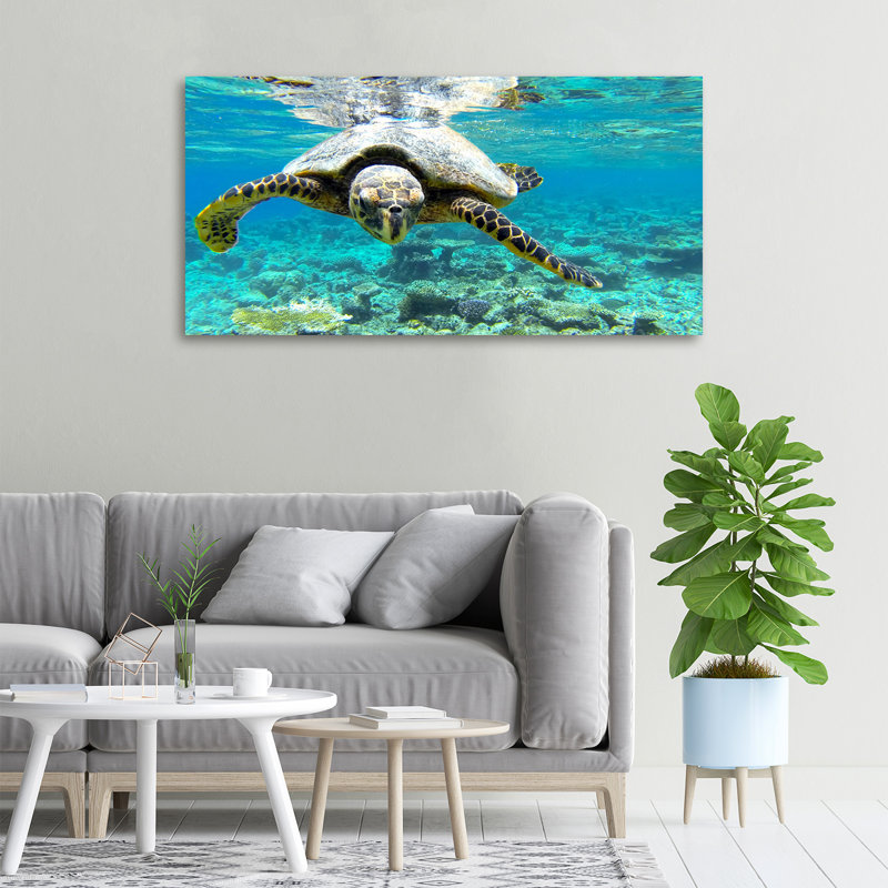 Sea Turtle - No Frame Print on Canvas