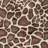 Rayna Gavin Brown Ivory Modern Giraffe Animal Print Indoor Area Rug, Flat Pile for Living Room & Bedroom - Gavin-102344745