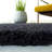 Assar Black Area Rug-23564347