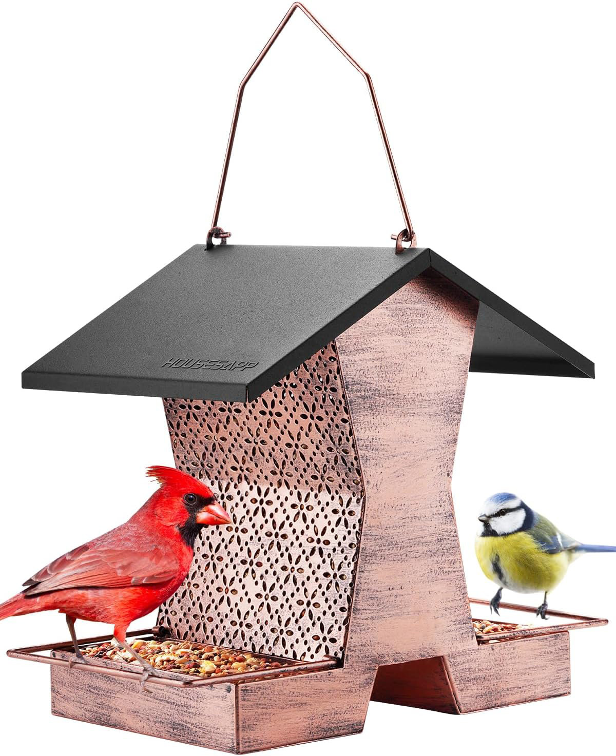 Kazoo Hanging Hopper And Suet Bird Feeder | Wayfair