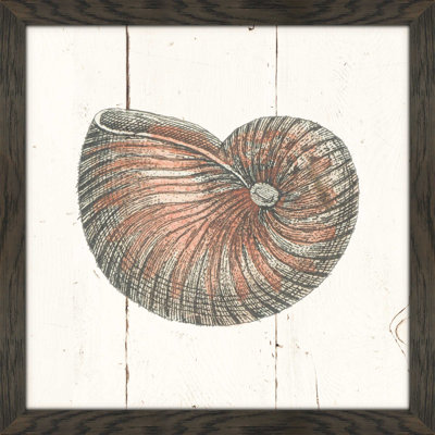 «Shell Sketches III Shiplap», reproduction de dessin