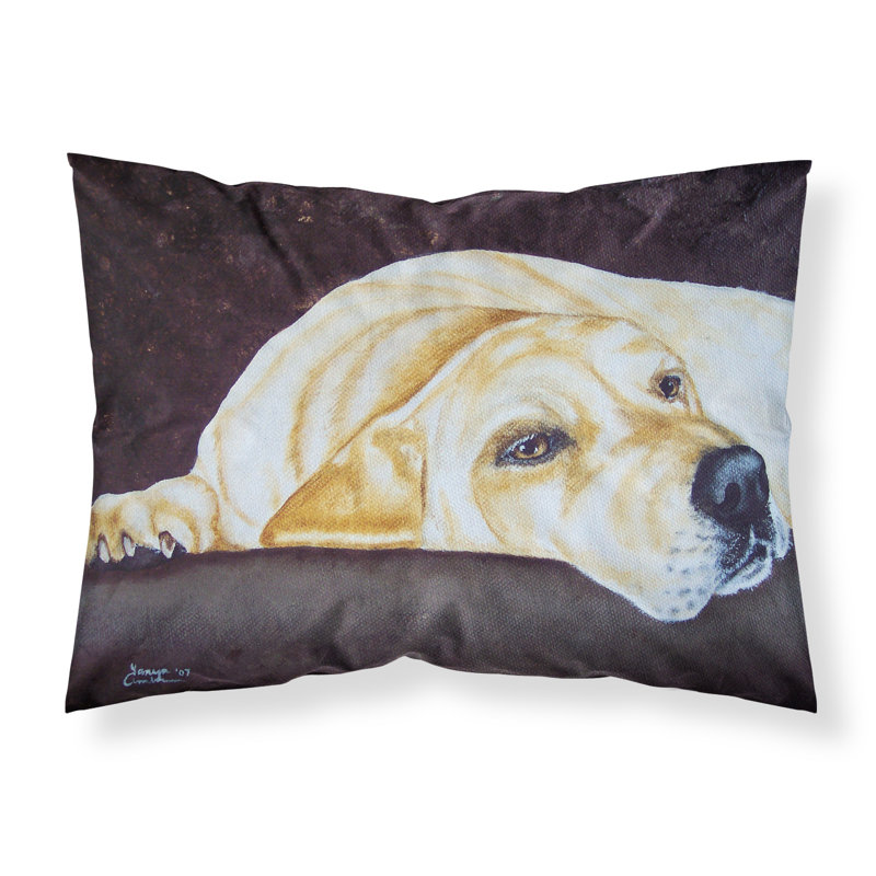  Taie d'oreiller Naptime Labrador
