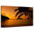 Gillard Caribbean Beach At Sundown