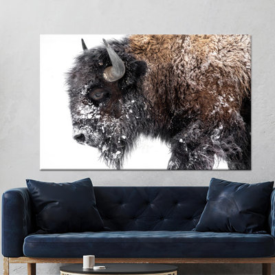 Élégante reproduction sur toile de bison: American Wildlife Wall Art Decor, 1P BlackFramedCanves