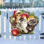 Cintre pour porte et mur de noël chatons