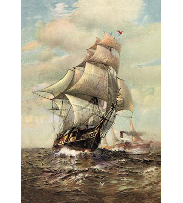 From the Antipodes by James G. Tyler Painting Print