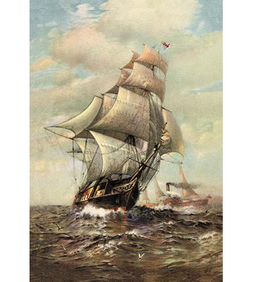 James G. Tyler - Unframed Print