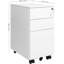 Suveer 30cm Wide 2 -Drawer Mobile File Cabinet-572583572