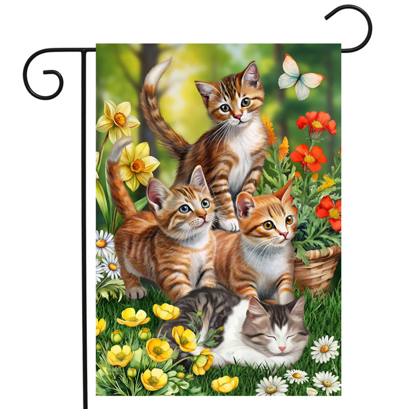 Chatons dans le jardin