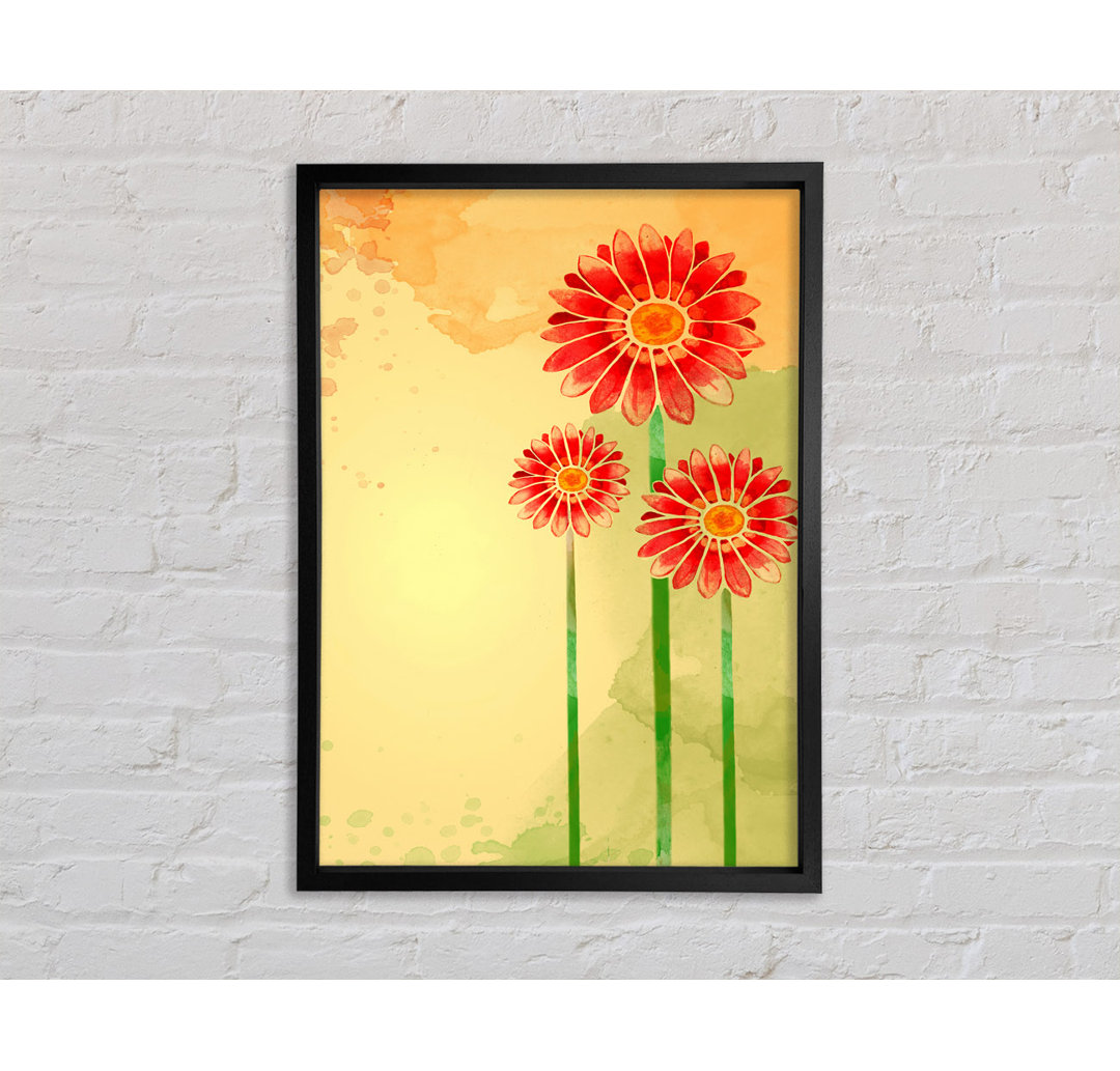 Trio Of Daisies - Einzelner Bilderrahmen Kunstdrucke auf Leinwand