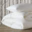 Celesta Luxe 650 All Season Down & Feather Blend Comforter-11939614