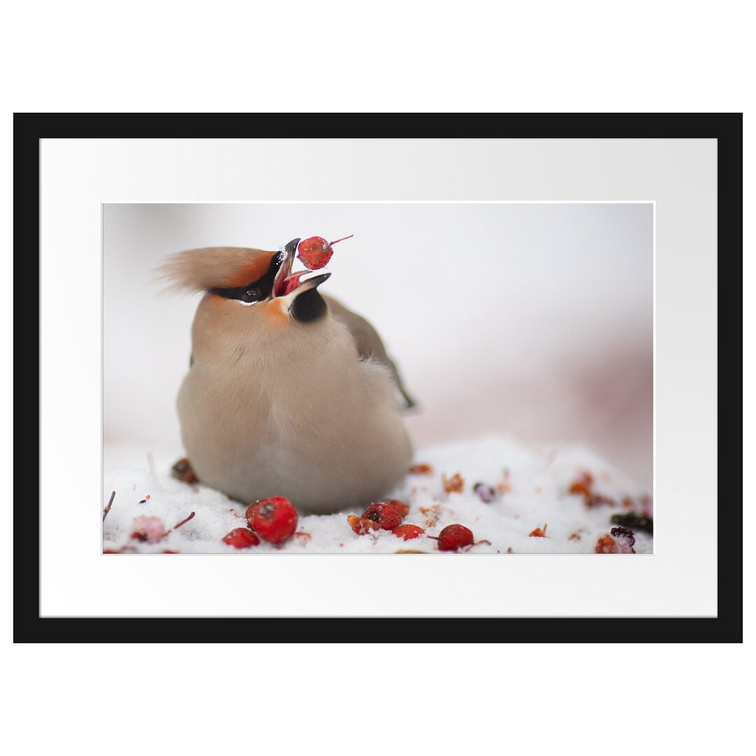 Gerahmtes Poster Kleiner Vogel im Schnee