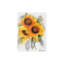 Tournesol style aquarelle, art mural non encadré, L 36 po x l 24 po