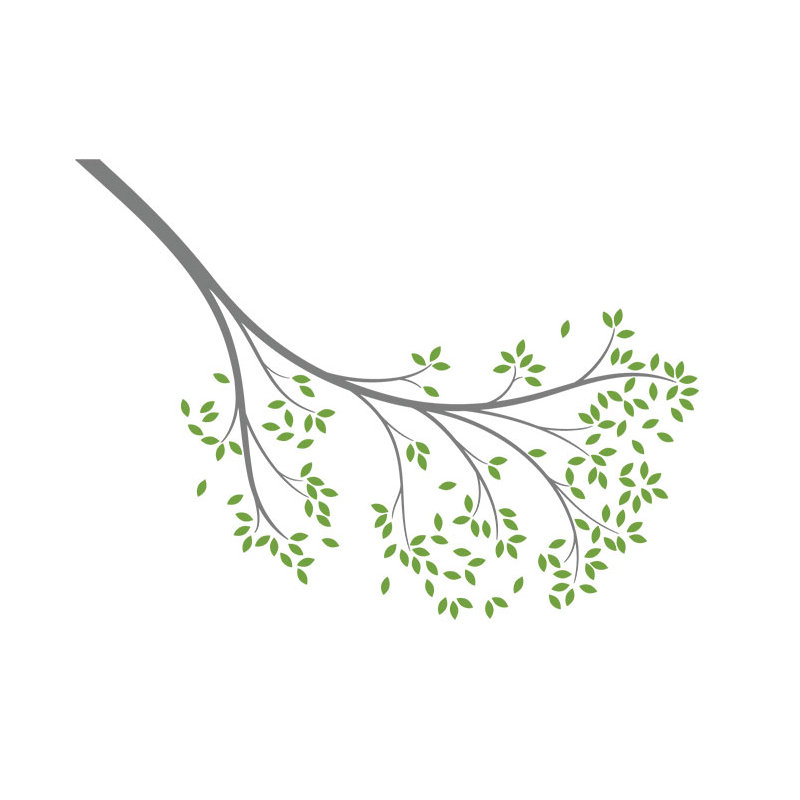 Décalcomanie murale branche atteindre, Gris moyen/vert lime