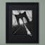 Art mural encadré - Décoration murale «Double Trouble Black Bear» par Marion Rose - cadre pour salon, cuisine et salle de bain - 16 x 20-15822141-40373765