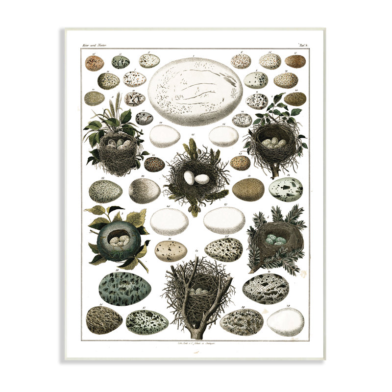 «Eggs And Nids» par Lettered and Lined - impression d'art textuel, H 15 po x l 10 po, Unframed