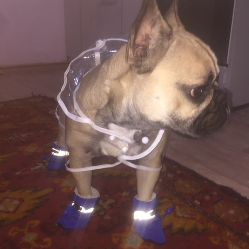 4 pièces / ensemble pour chien chiot antidérapant, chaussures souples, bottes de pluie, chaussures pour la maison