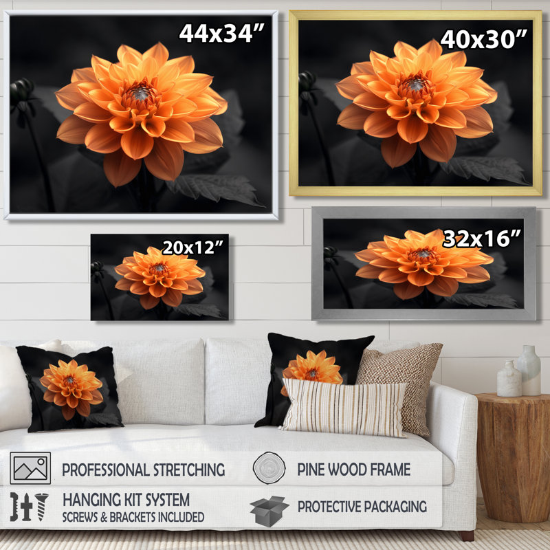 Dahlia noir et jaune en photo monochrome - art mural Dahlia, Cadre flottant noir, H 24 po x l 32 po