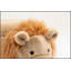 Repose-pieds avec rangement caché Luke the Lion