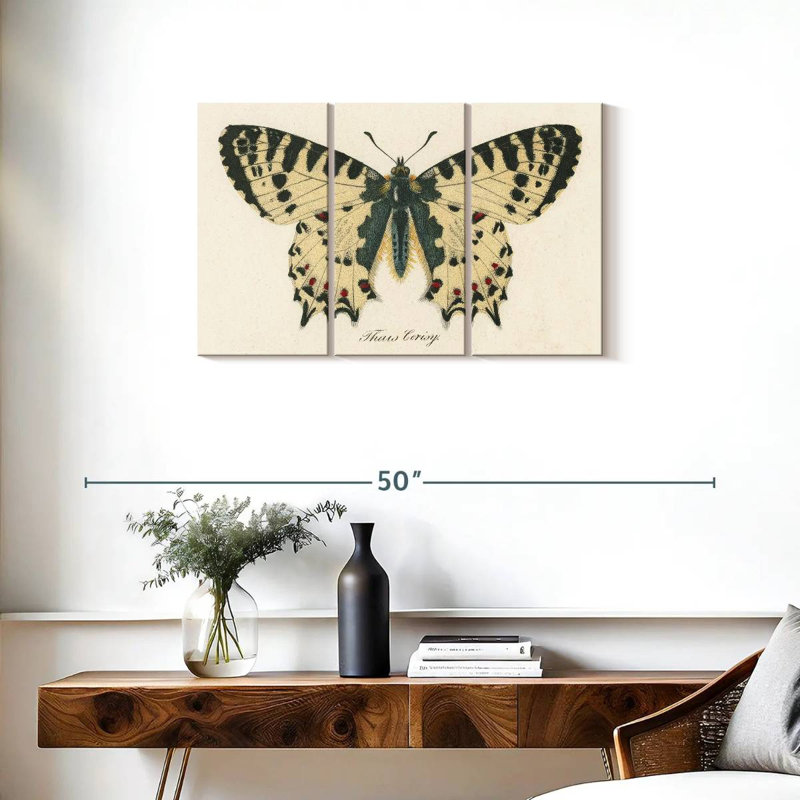 Brampt Natures Butterfly I, 20" H x 33" W