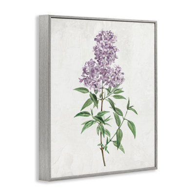 Lilac Blossoms Blooms Framed Giclee, design by Kim Allen