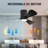 Apolino 42'' Ceiling Fan with LED Lights-251862385-251862384