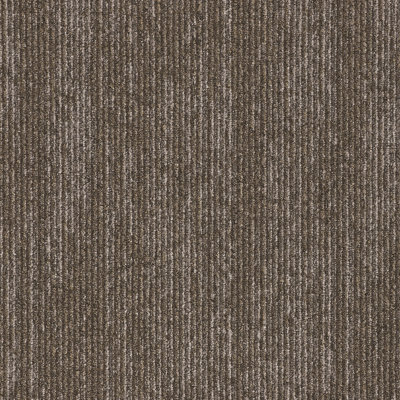 Carreaux de moquette en fibre de nylon Mohawk Elite 24 po x 24 po (96 pieds carrés par carton - 24 carreaux)