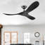 Ventilateur de plafond Black Soild-1630787288