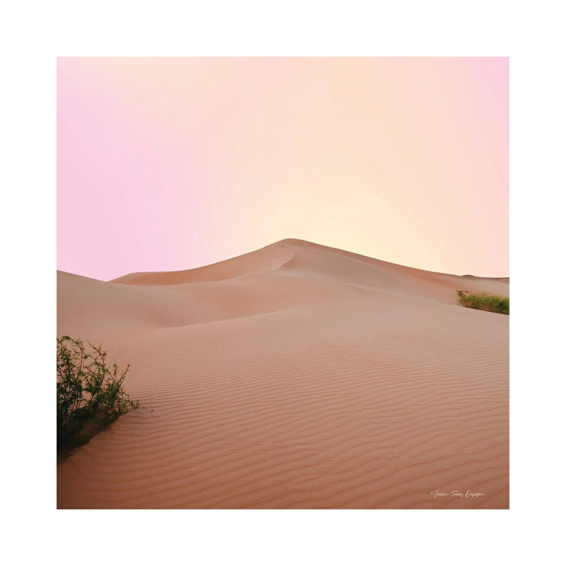 The Calm Dune by Seven Trees Design - Gallery-Wrapped Canvas Giclée on Canvas, 30.48 cm H x 30.48 cm W, Canvas