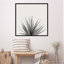 «Haze Agave Succulent», reproduction de photo encadrée-1418781958-1418781959