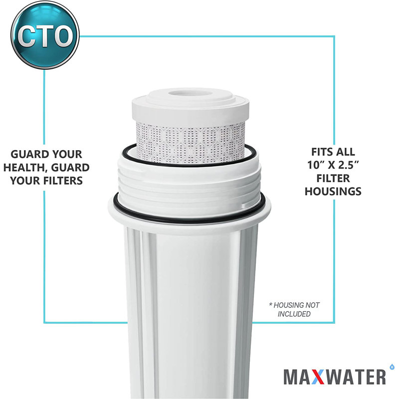 Cartouche de remplacement pour filtre à osmose inversée 5 microns Max Water 10 pouces x 2,5 pouces CTO Max