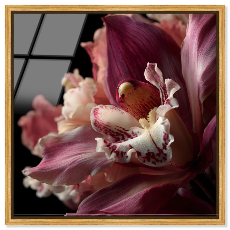 Velvet Labellum High-Gloss Frameless Acrylic Glass Wall Art Floral & Botanical Print by Oliver Gal, Ready to Hang, 12 x 12