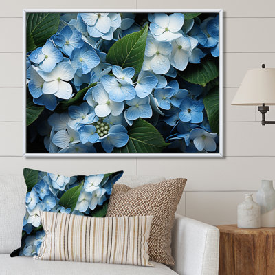 " Blue Hydrangea Field Aerial View "