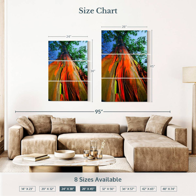 Harnek Rainforest Rainbow Eucalyptus, 38" H x 24" W