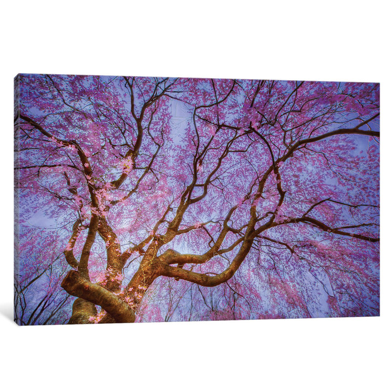 « weeping cerise » par natalie mikaels, peinture sur toile tendue, H 18 po x l 26 po x P 1,5 po, Toile tendue, Pas de tapis