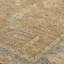 Carrington Wool Oriental Area Rug in Gold-1765697698