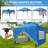 10 Ft X 10 Ft One-Push Set Up Canopy Tents With Sidewalls And Sandbags-123078724-123078727