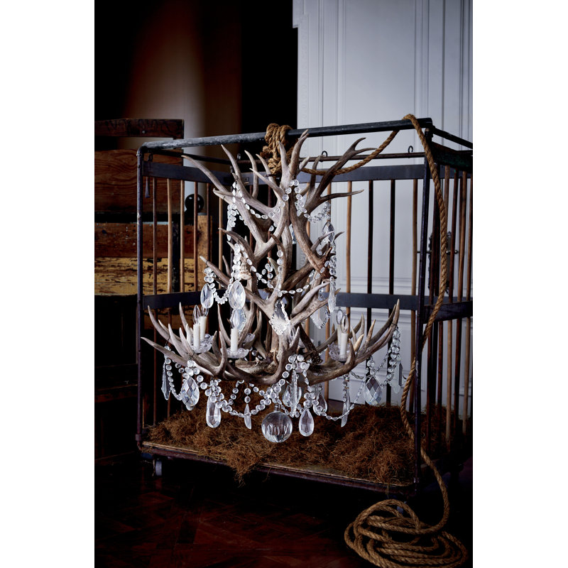 Straton 8 - Light Chandelier