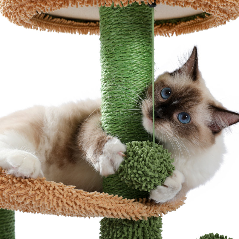 Petit arbre à chat 32 po Bonucci, arbre à chat Cactus avec poteau à griffes recouvert de sisal, condo confortable, perchoirs moelleux et boules moelleuses pour chats d'intérieur