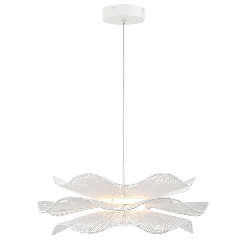 Luminaire suspendu DEL 24 po Jaehne