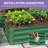  Green Metal Raised Garden Bed-1241144948