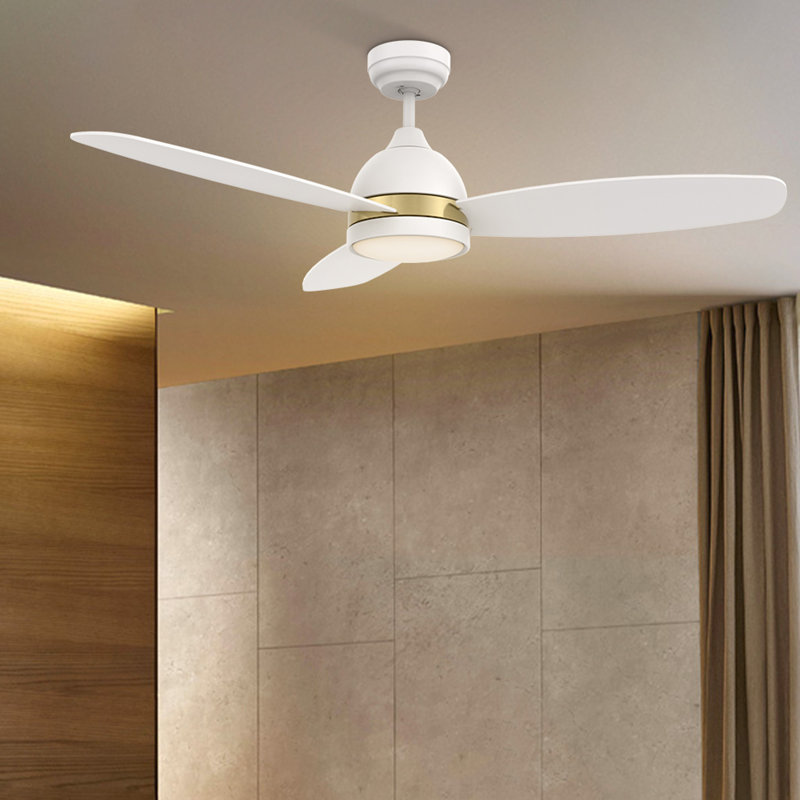 Ventilateur de plafond 48 "à DEL à 3 pales avec télécommande et ensemble d'éclairage inclus Eleanar