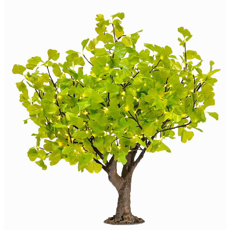 Arbre lumineux ginkgo, Vert