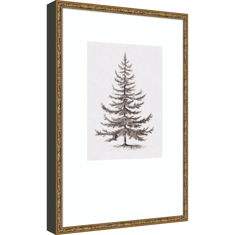 «Vintage Evergreen Fir Tree II» par The Creative Bunch Studio, reproduction d'art encadrée en bois, 17x25, Belvedere Bronze