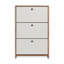 Armoire à chaussures élégante avec 3 portes, pin atlantique et blanc, 27,6 po x 27,6 po x 10,2 po | Panneau de particules 100% enduit de mélamine, assemblage facile avec système Minifix | Parfait pour organiser les chaussures dans les espaces modernes
