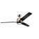 Ambrose 60'' Ceiling Fan with LED Lights