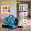Ebern Designs 40.5cm Oscillating Blower Fan Fan