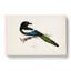 Eurasian Magpie by Von Wright - Wrapped Canvas-55370292