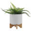 PLATEAU DE CHEVRONS AVEC SUPPORT, BLANC-572318304